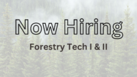 Hiring: Forestry Tech I & II